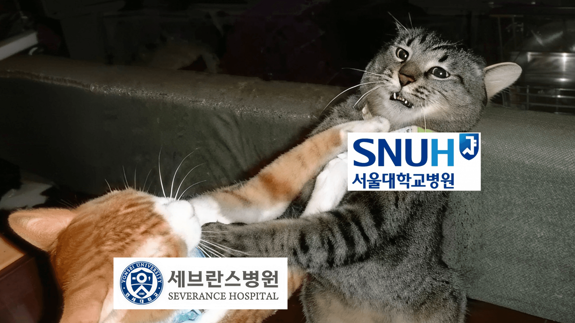 서울대병원vs세브란스병원, 간호사 연봉&실수령액 얼마나 차이 날까?