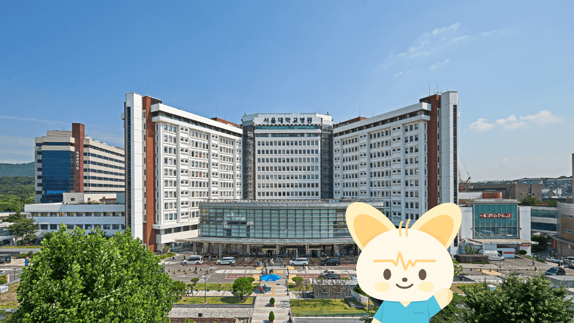 서울대병원 간호사는 어떨까? | 외과병동 3년 차 선생님의 리얼 근무 후기