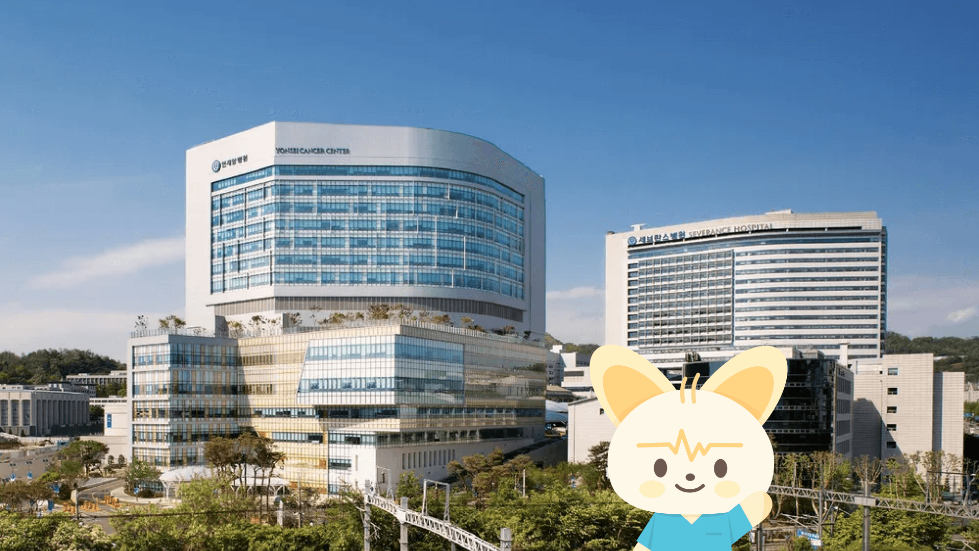 세브란스 간호사는 어떨까? | 심장내과 중환자실(CCU) 4년 차 선생님의 리얼 근무 후기