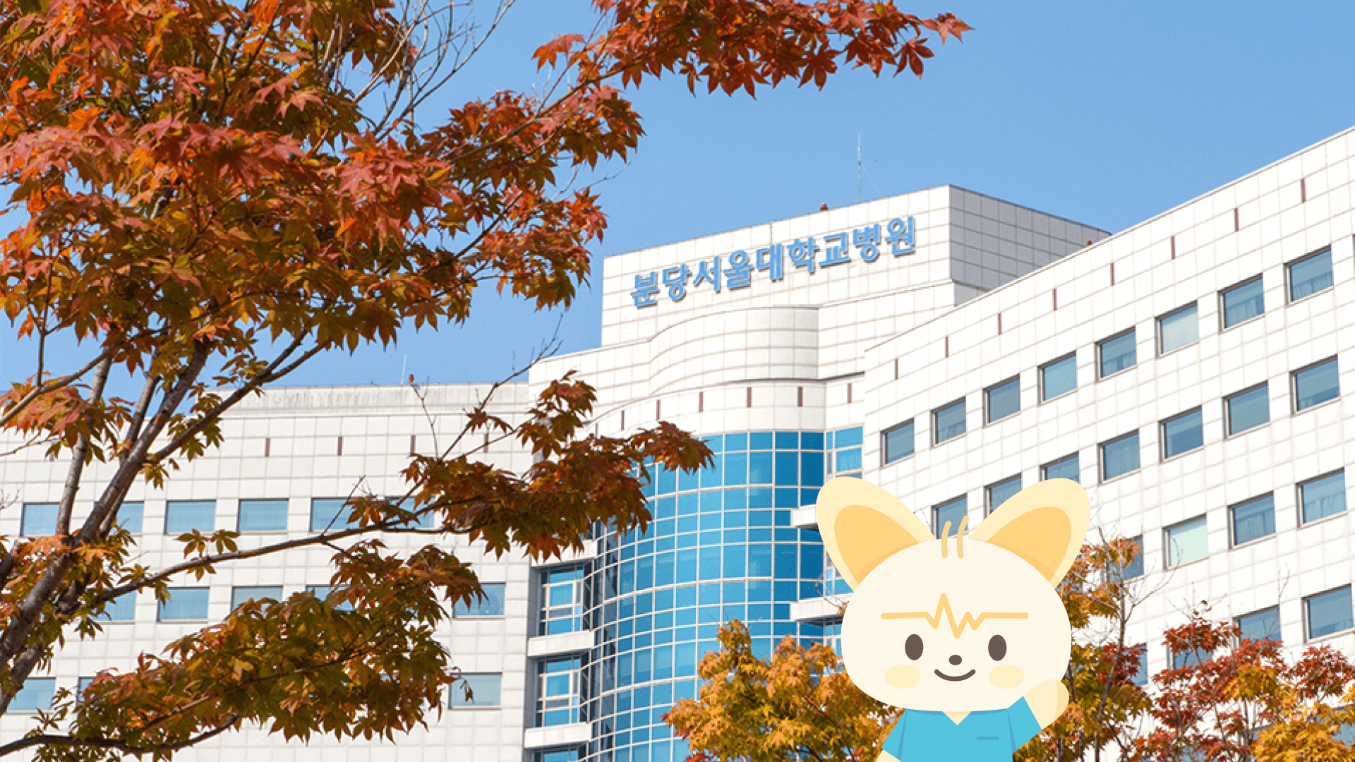 분당서울대병원 간호사는 어떨까? | 외과병동 3년 차 선생님의 리얼 근무 후기