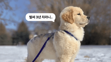 3~4년차 간호사는 신규 때와 어떻게 다를까? 빅5 간호사들의 진솔한 이야기