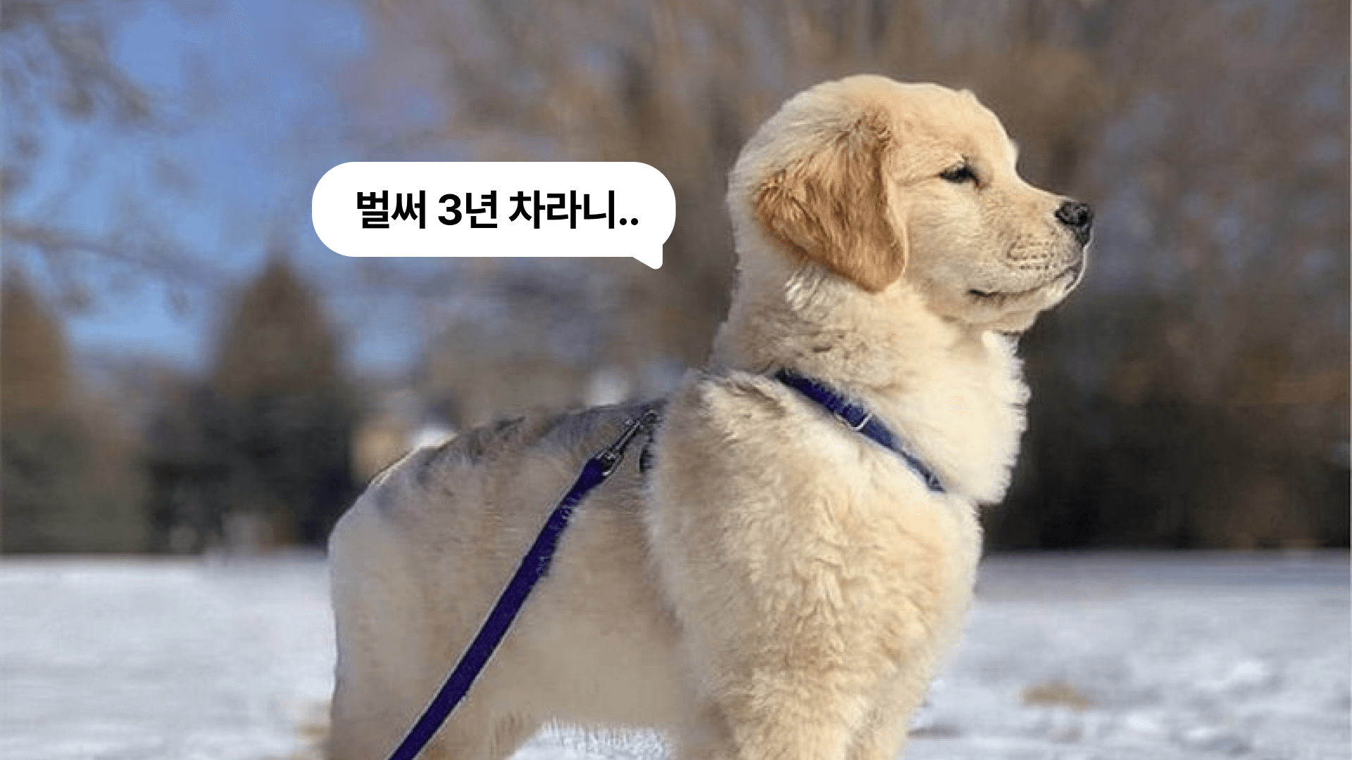 3~4년차 간호사는 신규 때와 어떻게 다를까? 빅5 간호사들의 진솔한 이야기