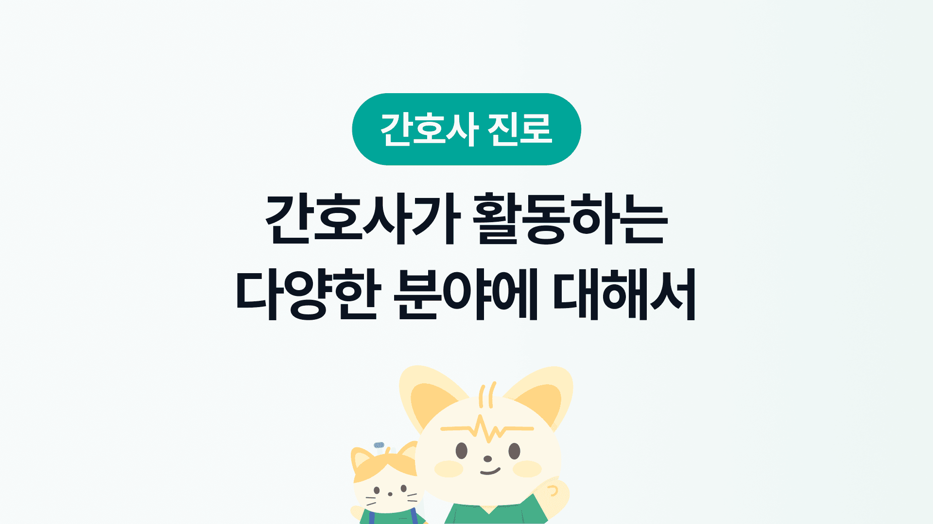 간호사가 활동하는 다양한 분야에 대해서 | 간호사 진로